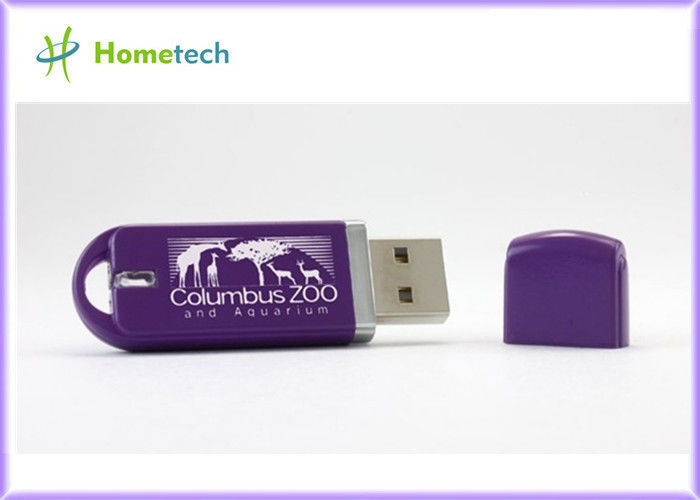 Factory Price Plastic USB Flash Drive with Logo Printing 8GB / 16GB/ 32GB for business gifts
